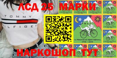 гашик Волжский