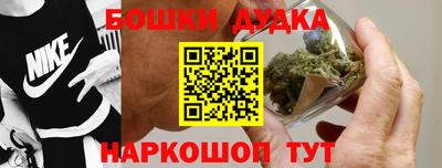 гашик Волжский