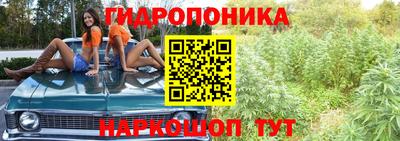 гашик Волжский