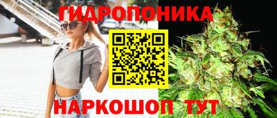 синтетический гашиш Гатчина