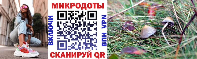 магазин продажи наркотиков  Губкинский  Псилоцибиновые грибы Cubensis 